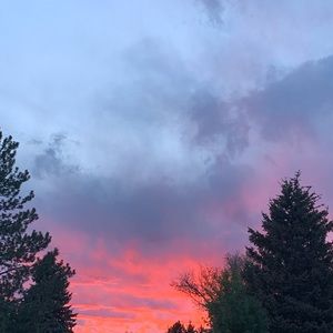 Meet your Posher, Shana